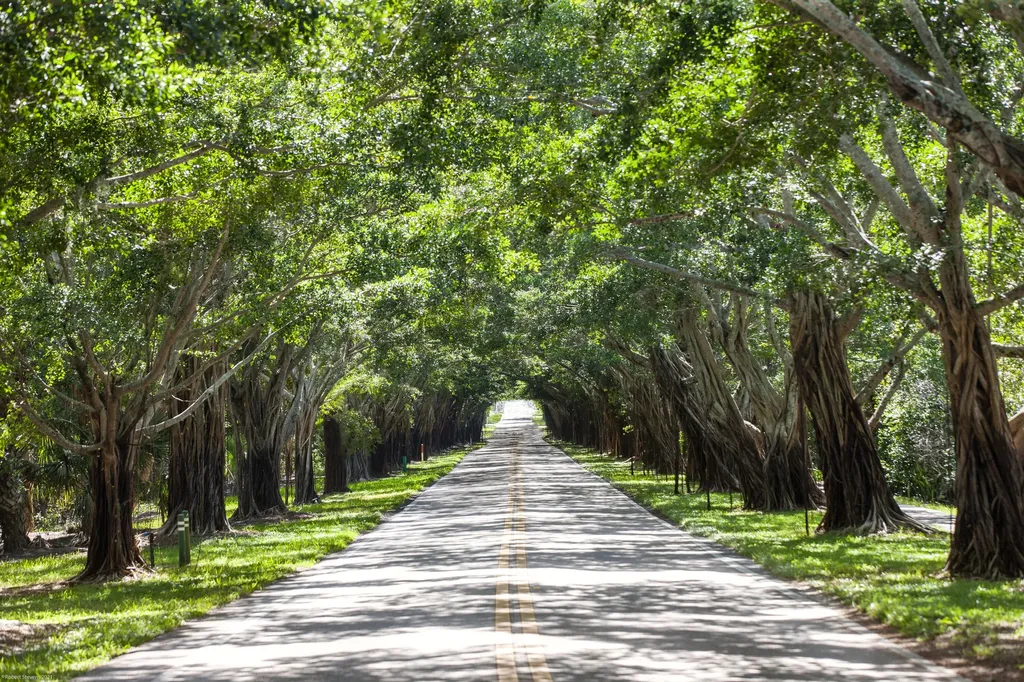 116 N Beach Road Jupiter Island FL 33455
