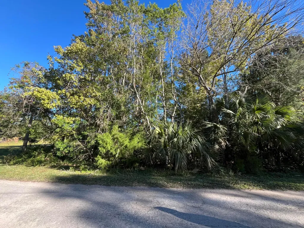 9667 S Lotus Point Homosassa FL 34448
