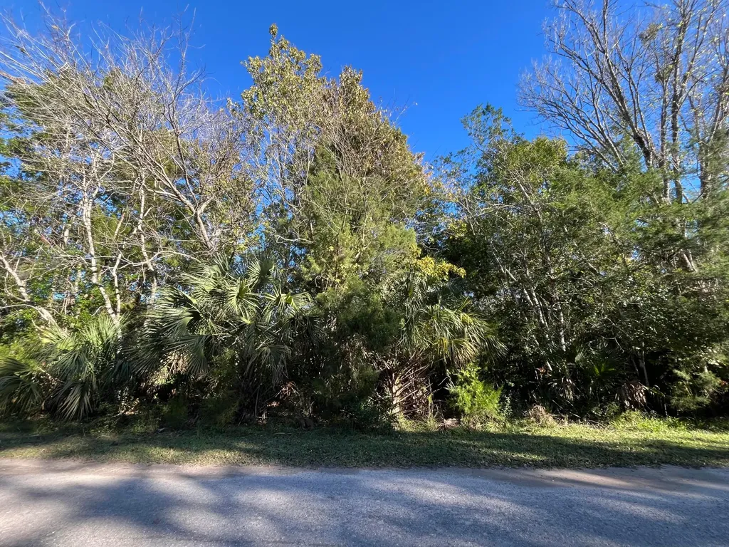 9667 S Lotus Point Homosassa FL 34448