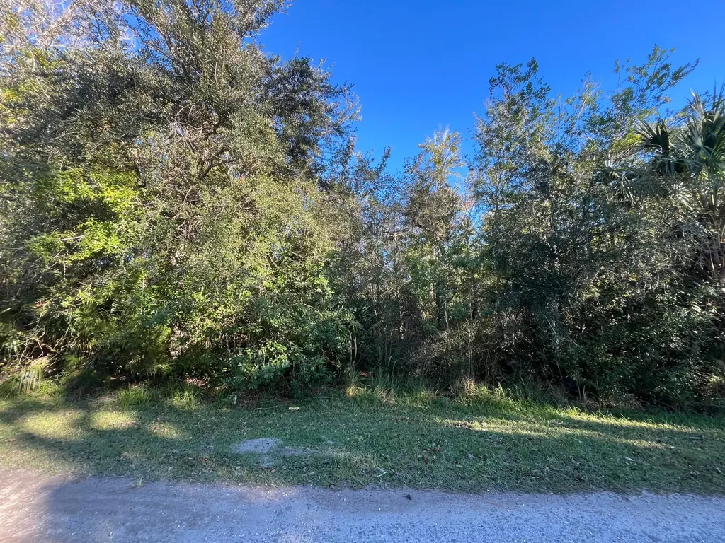 9667 S Lotus Point Homosassa FL 34448