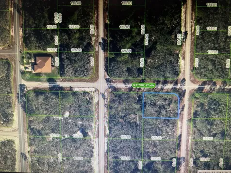 314 NW Spitfire Street NW Lake Placid FL 33852