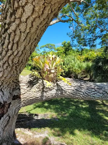 2950 SE Ocean Boulevard Stuart FL 34996