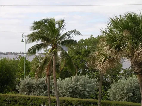 5550 N Ocean Drive Singer Island FL 33404