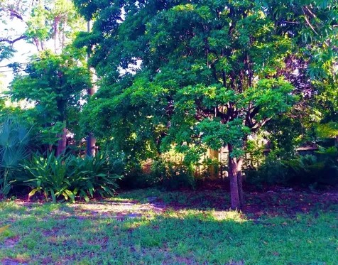 382 Ellamar Road West Palm Beach FL 33405