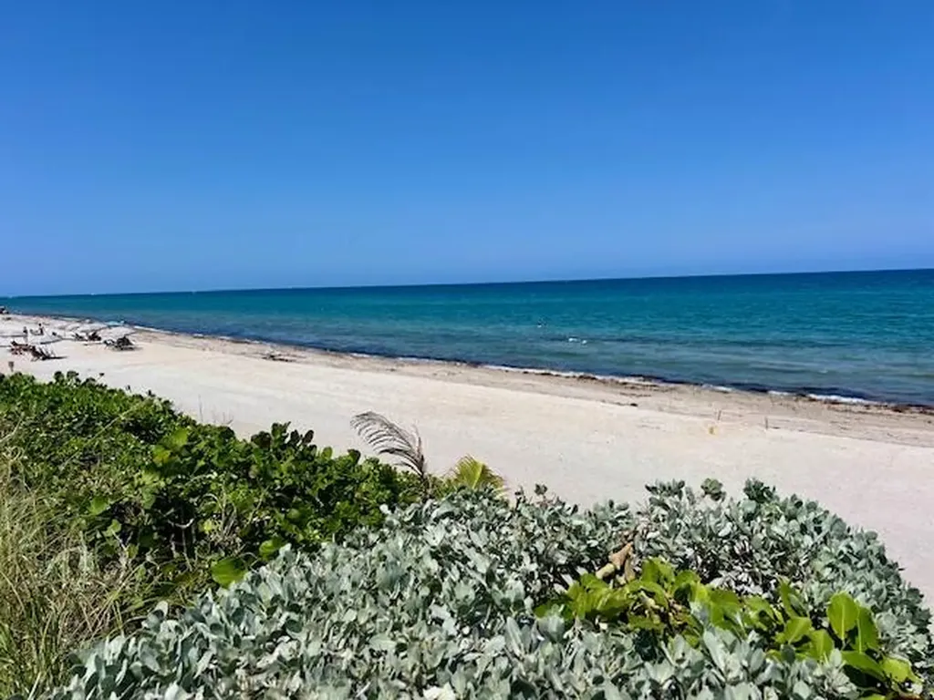 1155 Hillsboro Mile Hillsboro Beach FL 33062