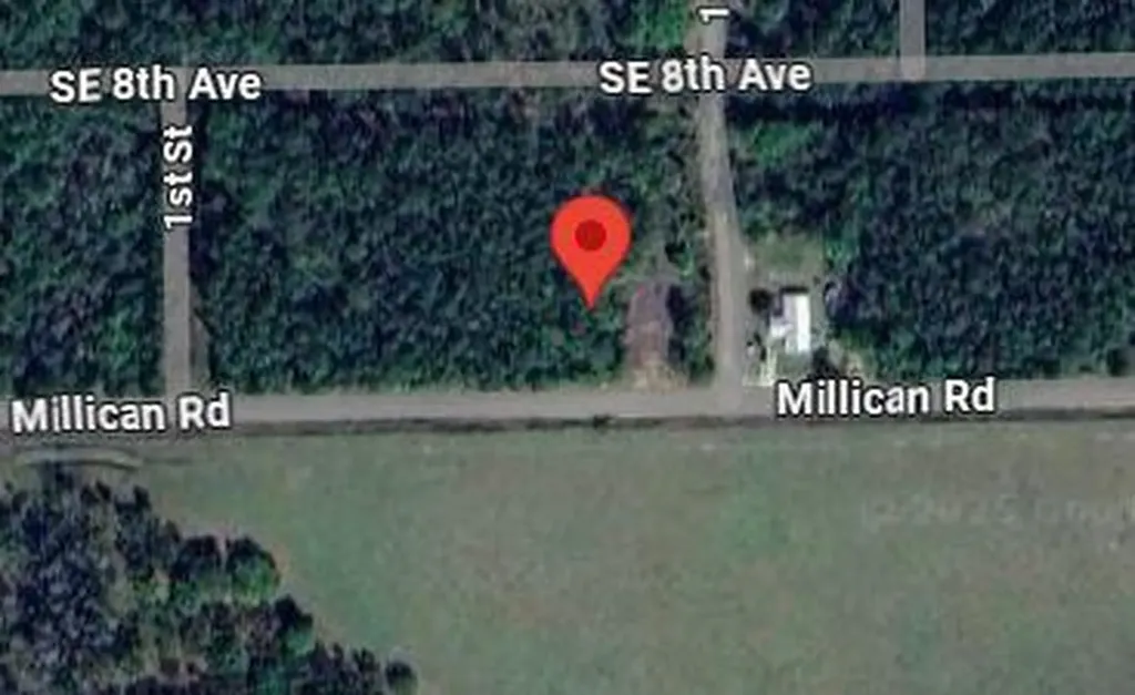 174 Millican Road Palatka FL 32177