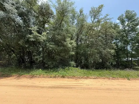 604 Kitty Avenue Interlachen FL 32148