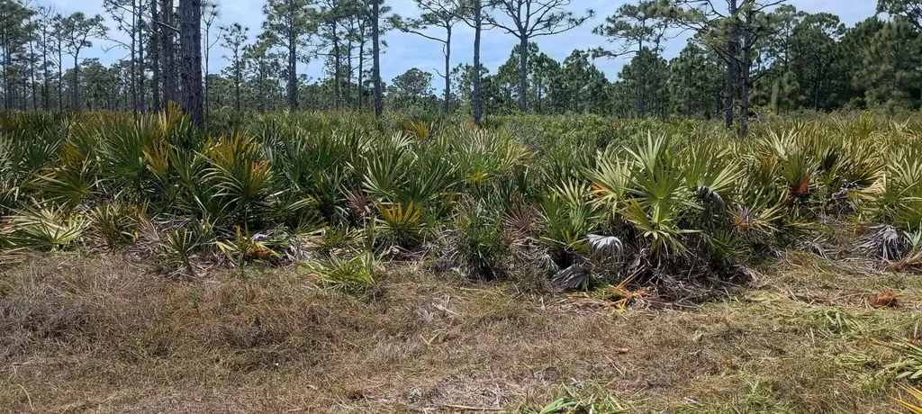 000 None Grant Valkaria FL 32950