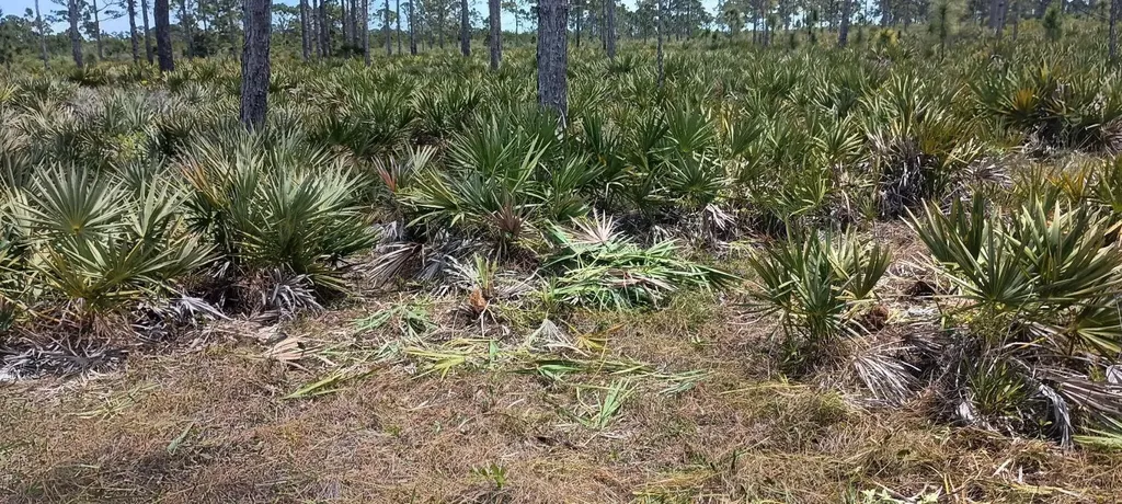 000 None Grant Valkaria FL 32950