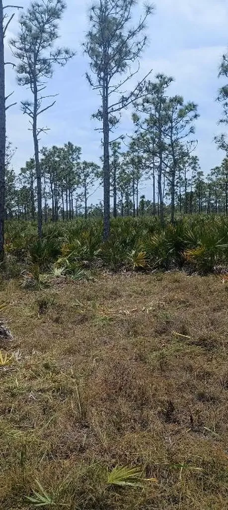 000 None Grant Valkaria FL 32950