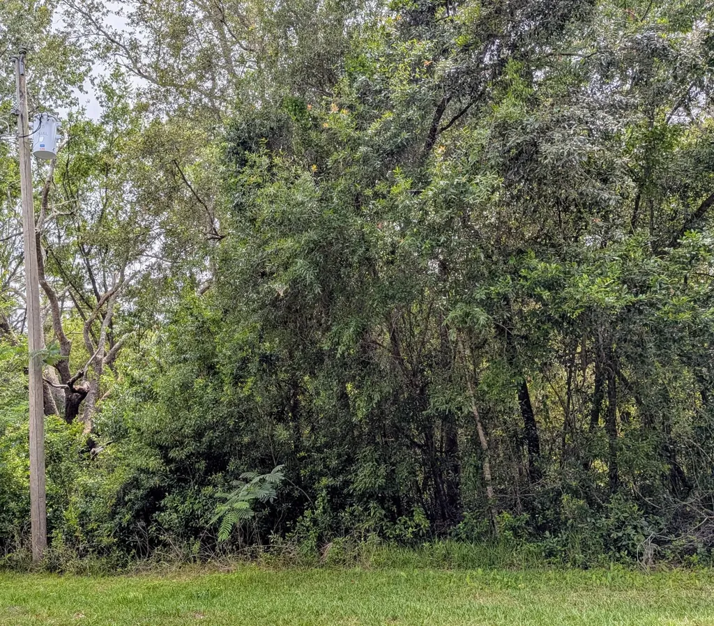 8970 N Joann Drive Citrus Springs FL 34434
