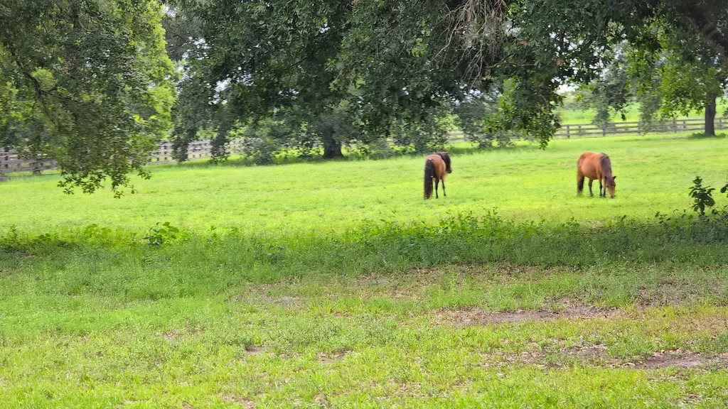 4567 State Road 710 Okeechobee FL 34974