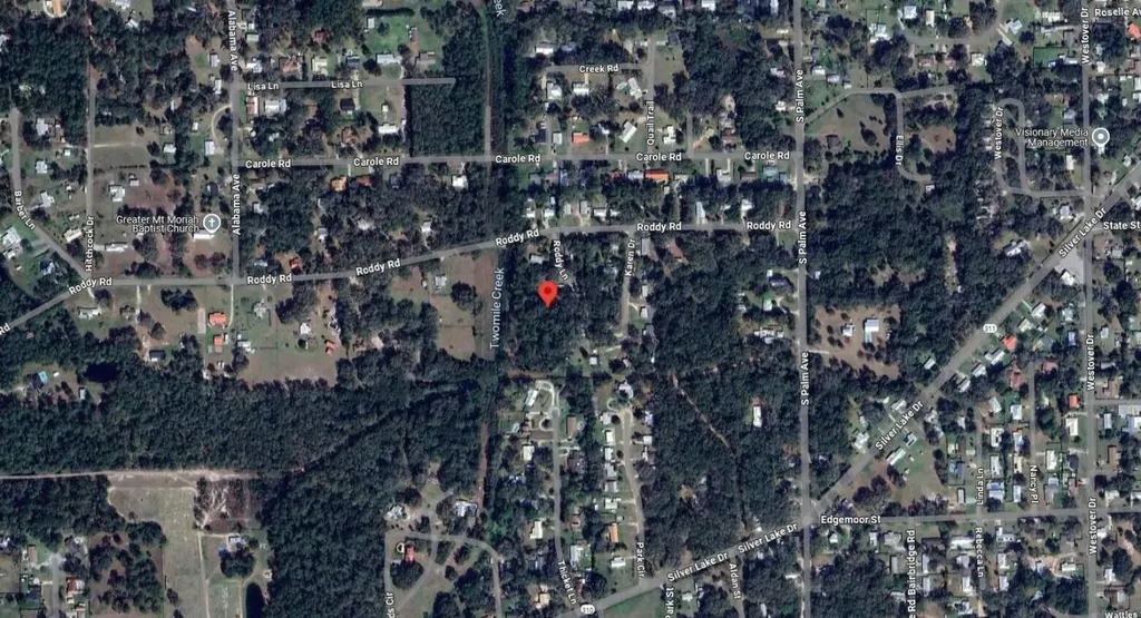 115 Roddy Lane Palatka FL 32177