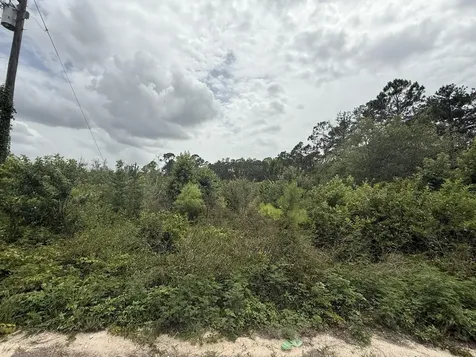 129 Fishermans Drive Interlachen FL 32148