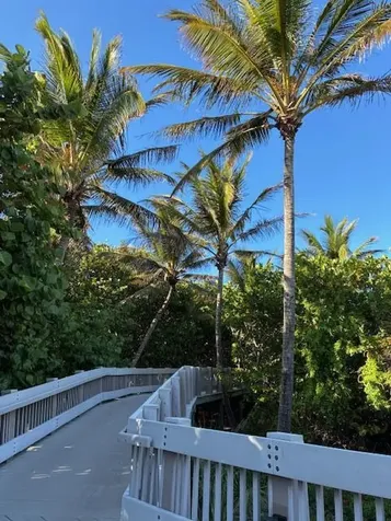 3163 NE 8th Avenue Boca Raton FL 33431