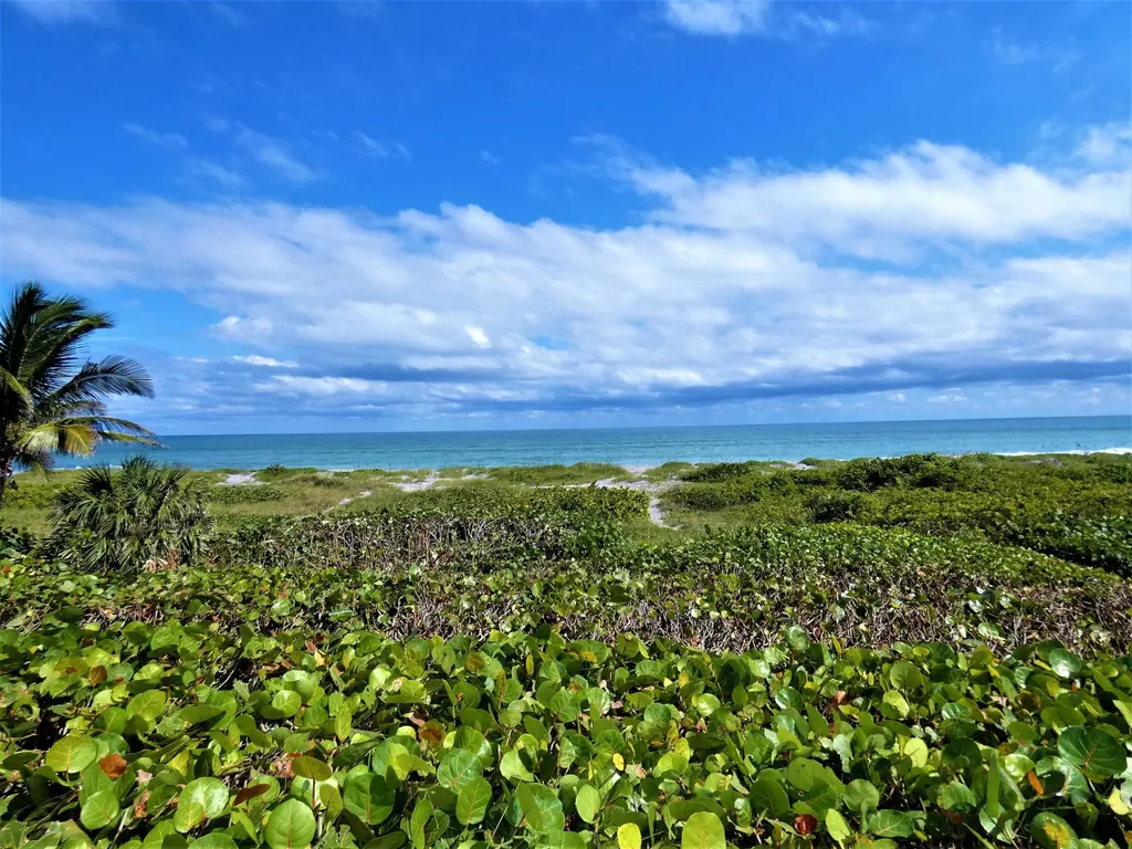 521 S Beach Road Jupiter Island FL 33455