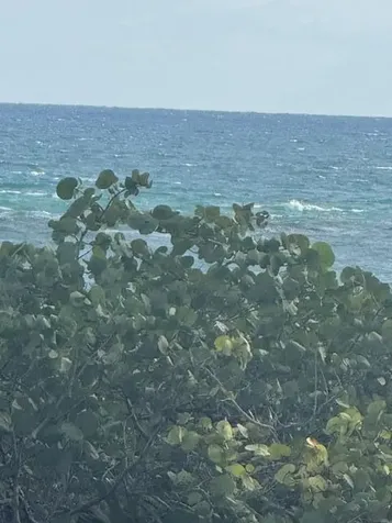 1180 S Ocean Boulevard Boca Raton FL 33432