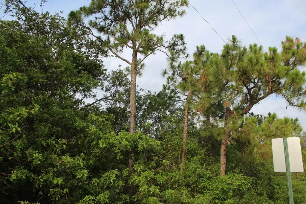 ''17992'' 94th Street N Loxahatchee FL 33470