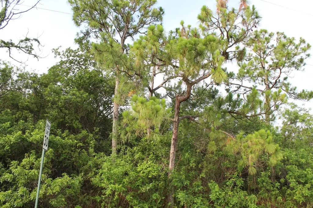 ''17992'' 94th Street N Loxahatchee FL 33470