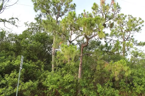 ''17992'' 94th Street N Loxahatchee FL 33470