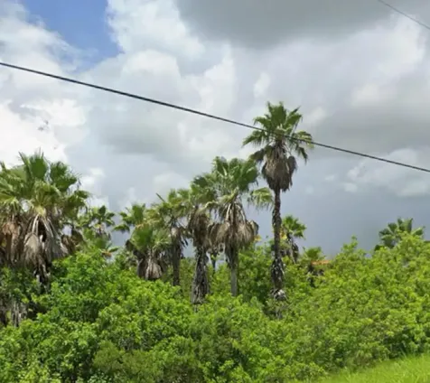 1425 S Header Canal Road Fort Pierce FL 34945
