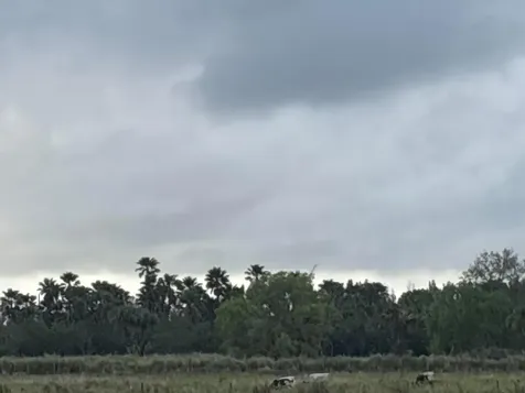 1425 S Header Canal Road Fort Pierce FL 34945
