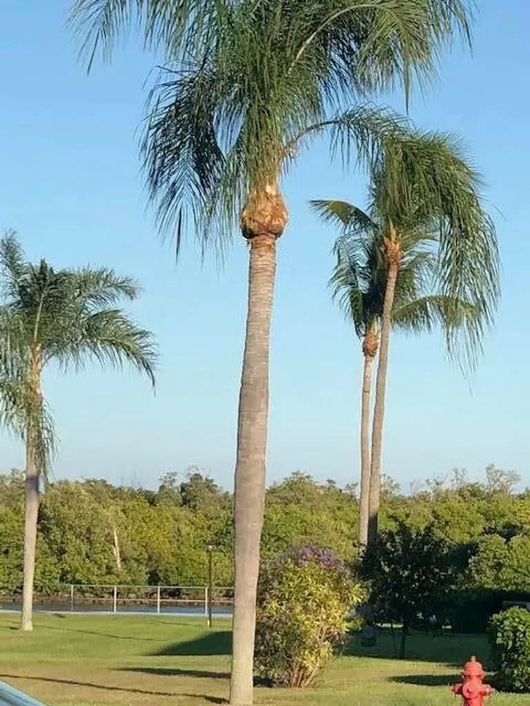 800 W Horizons 211 W Boynton Beach FL 33435