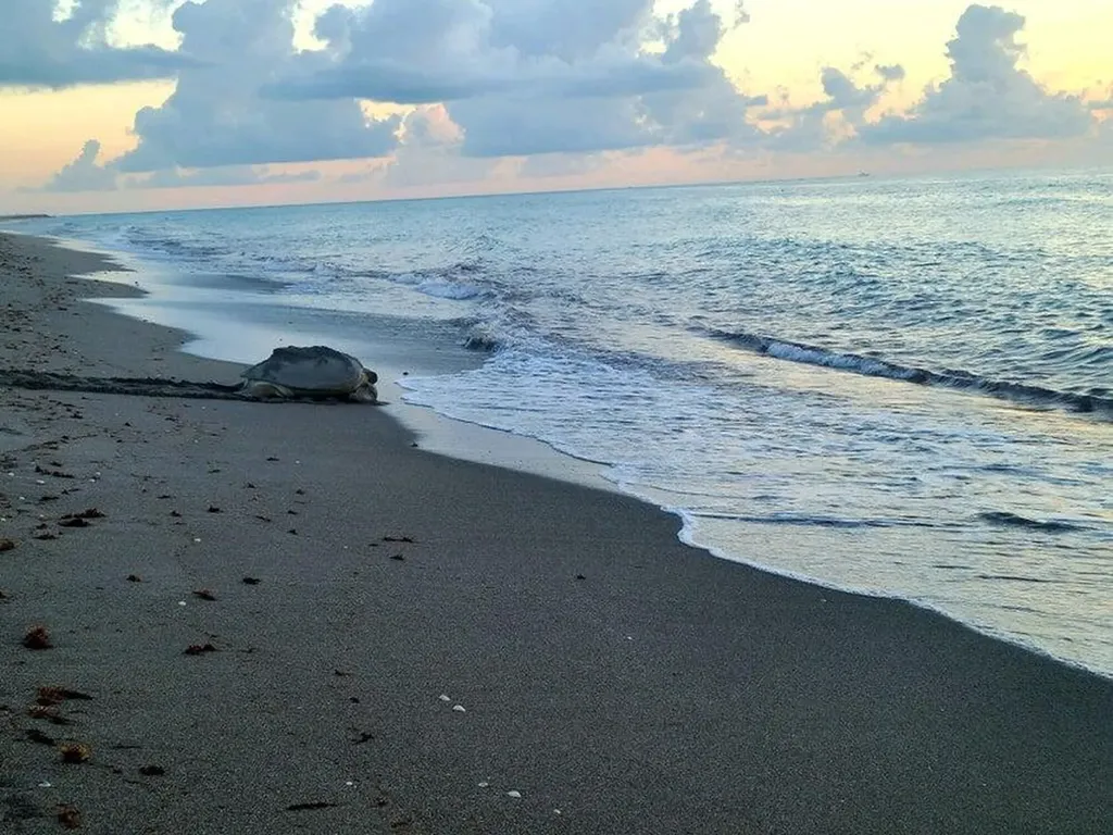 0000 SE Federal Highway Jupiter FL 33469