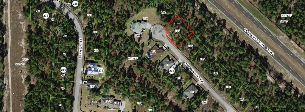 11 Crossandra Court W Homosassa FL 34446