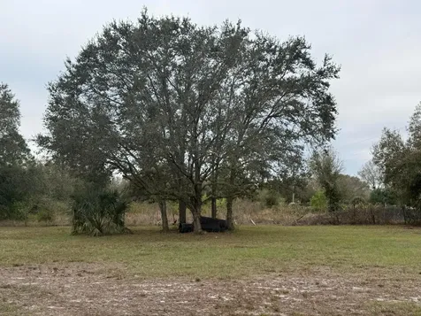 754 Hunting Club Avenue Clewiston FL 33440