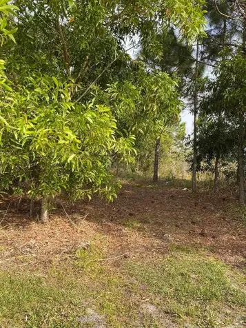 17755 Fox Trail Lane Loxahatchee FL 33470