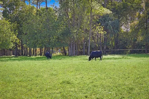 2454/2376 E Road Loxahatchee Groves FL 33470