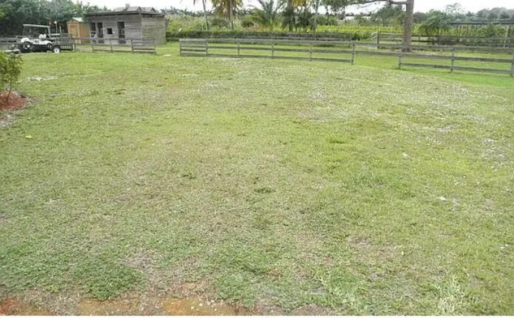 6845 Park Lane Road Lake Worth FL 33449