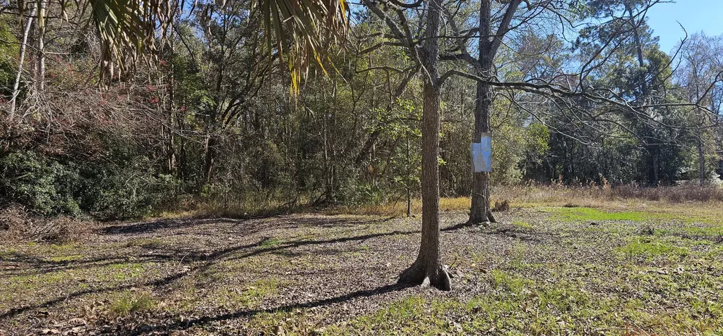 5676 Soutel Drive Jacksonville FL 32219