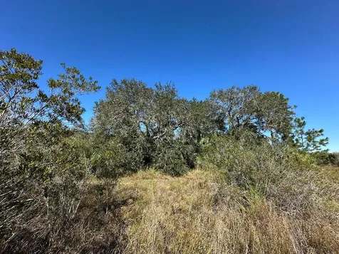 15415 NW 292nd Street Okeechobee FL 34972