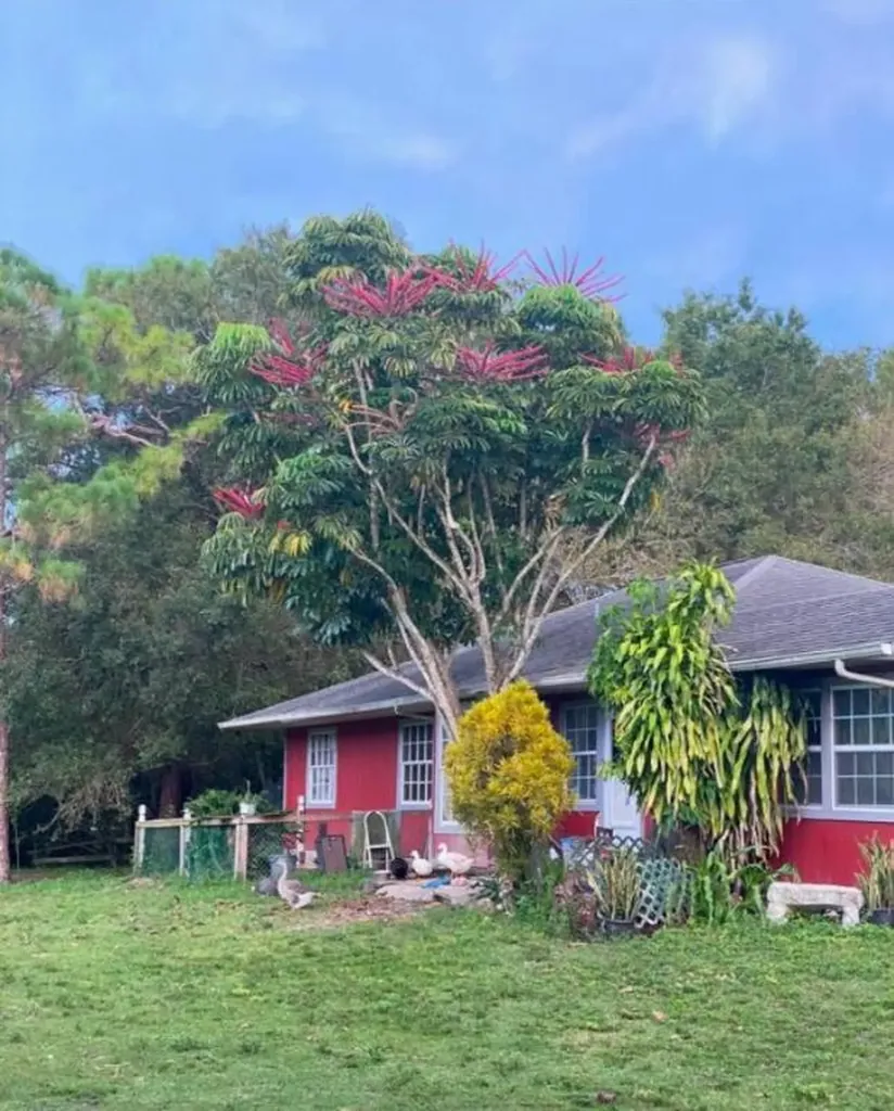16251 SW Palomino Street Indiantown FL 34956