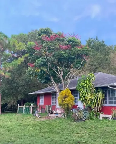 16251 SW Palomino Street Indiantown FL 34956