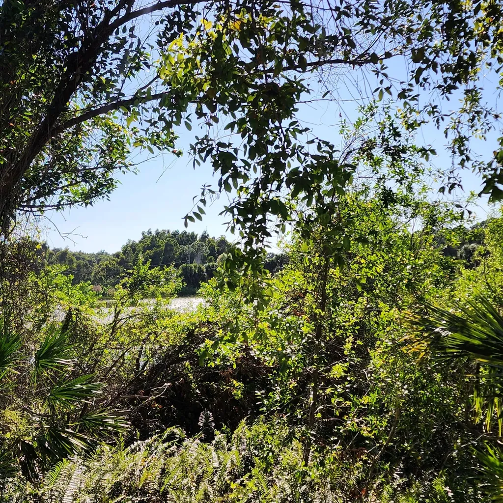 1225 NE Savannah Road Jensen Beach FL 34957