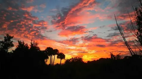 6105 Carlton Road Port St Lucie FL 34987