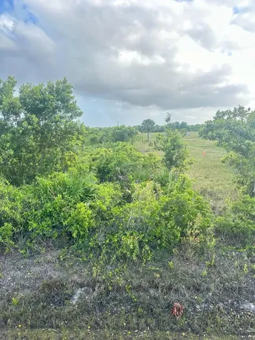 16220 NW 264th Street Okeechobee FL 34972
