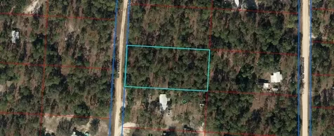 00 SE 148th Court Morriston FL 32668