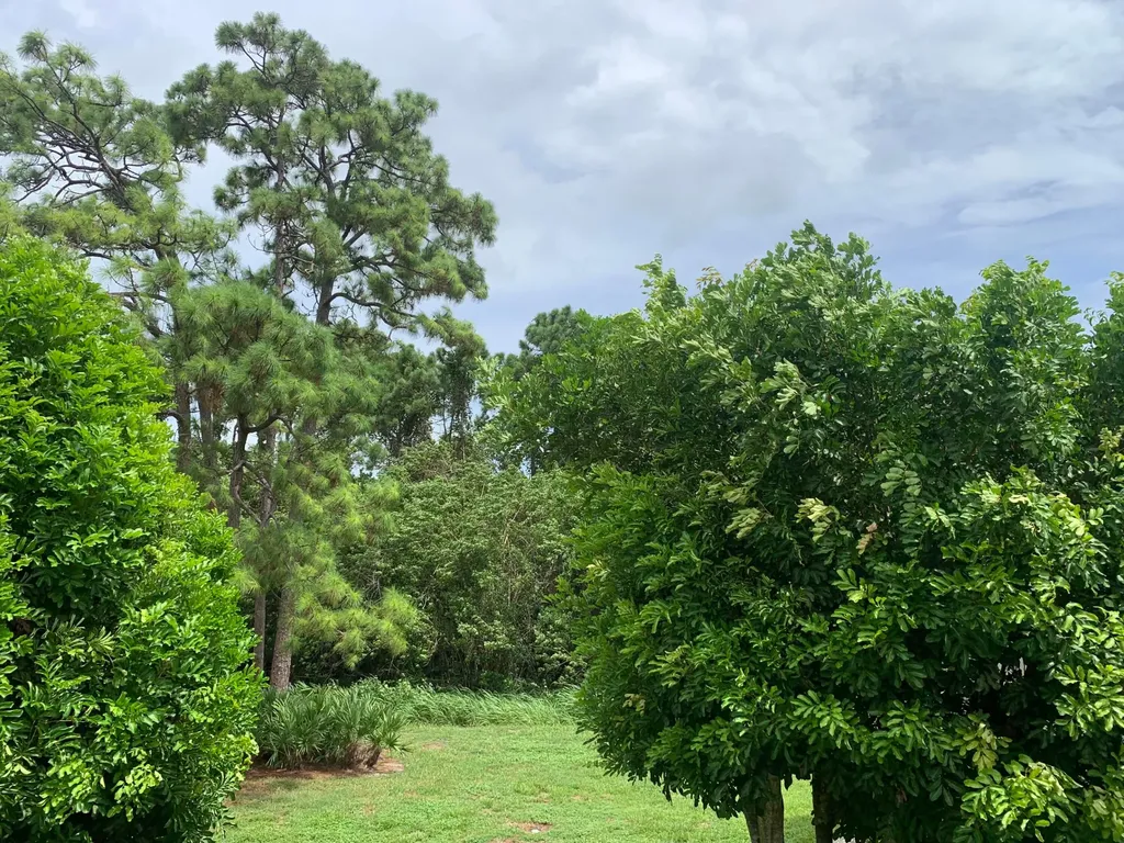 29 Lake Vista Trail Port St Lucie FL 34952