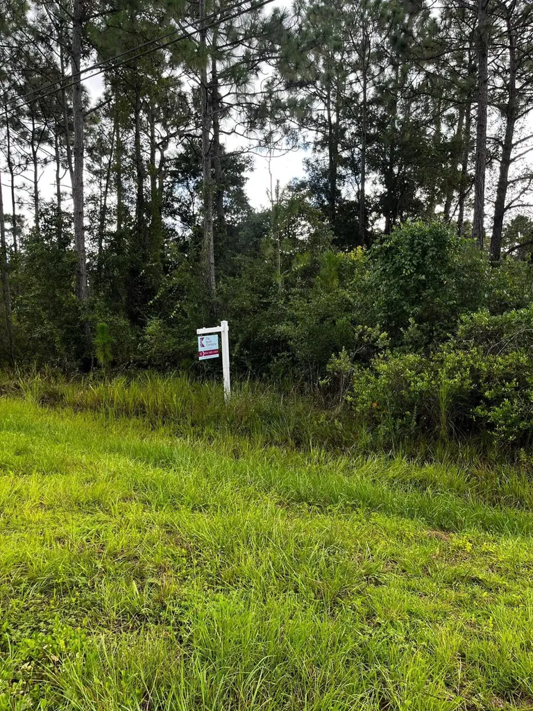 0 Sabal Street Orlando FL 32833