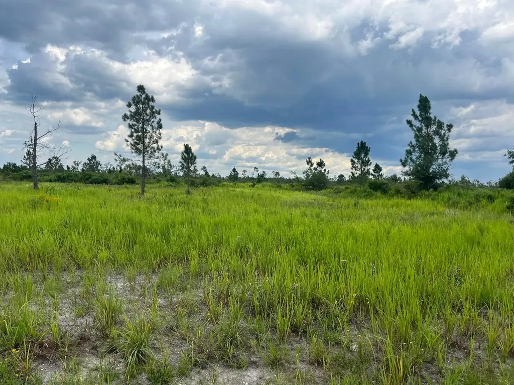 0 Pinnata Drive Lake Wales FL 33898