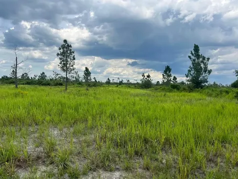 0 Pinnata Drive Lake Wales FL 33898