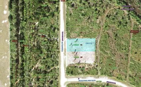 0 Pinnata Drive Lake Wales FL 33898