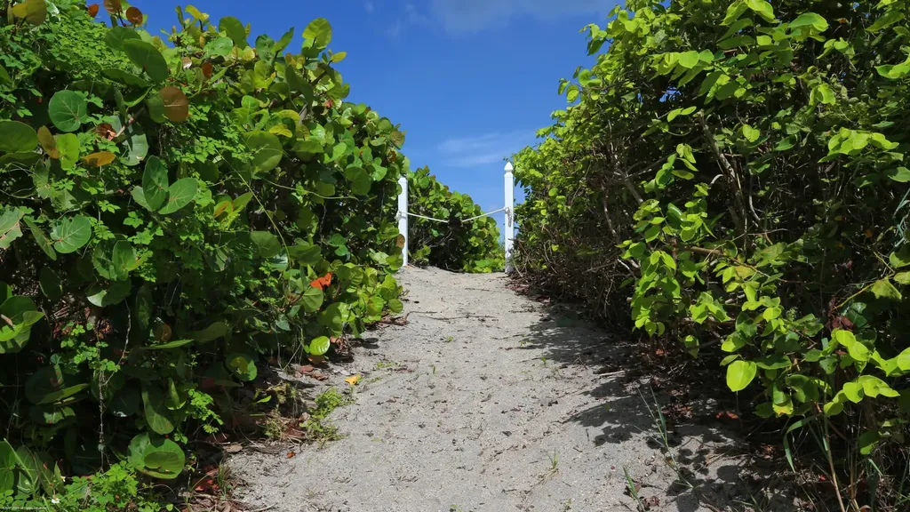 162 N Beach Road Jupiter Island FL 33455