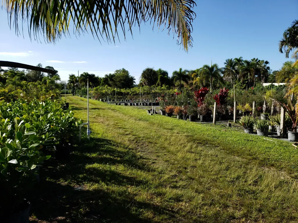 14375 Okeechobee Boulevard Loxahatchee Groves FL 33470