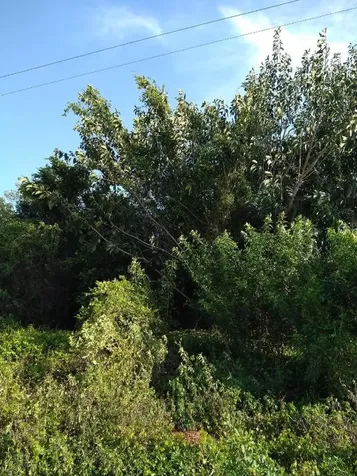 242 SW Oakridge Drive Port St Lucie FL 34984