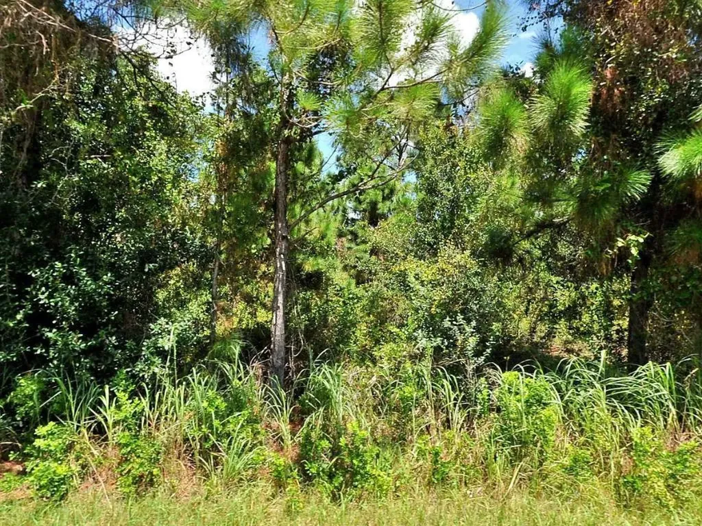 1721 SW Effland Avenue Port St Lucie FL 34953